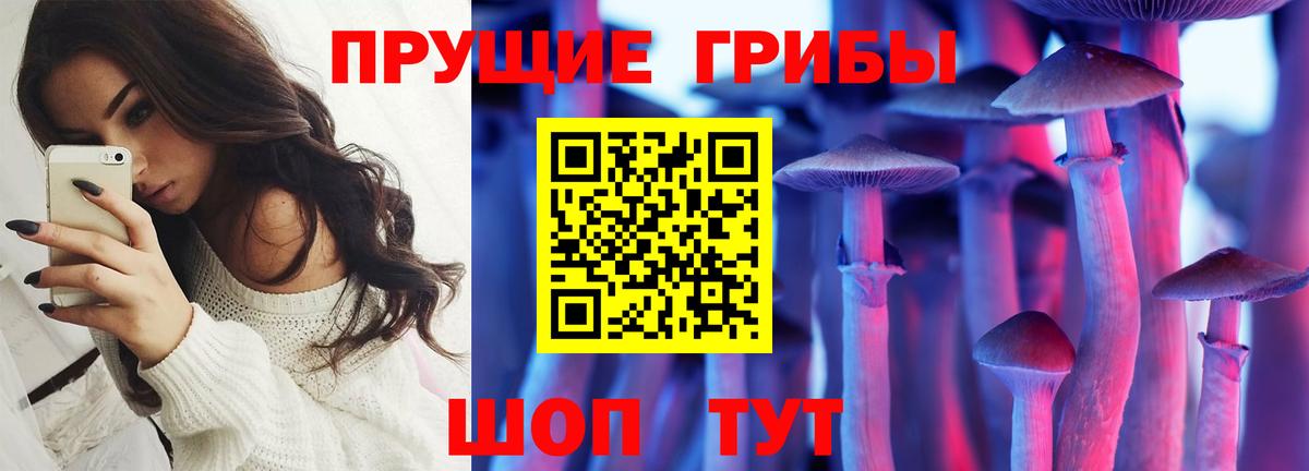 Псилоцибиновые грибы GOLDEN TEACHER Полысаево