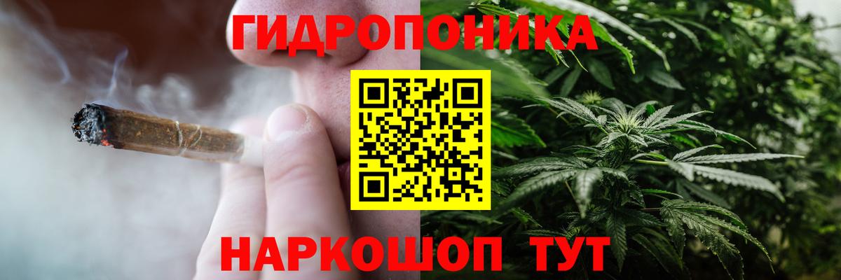 Конопля план  Вход с VPN  Каннабис конопля  Шишки марихуана конопля  Полысаево 